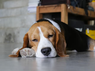 foreverwarm inslab heating